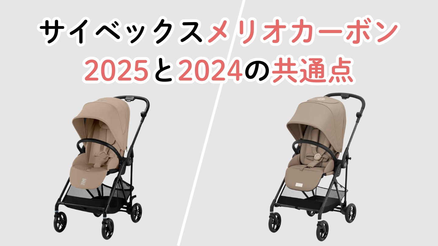 サイベックスメリオカーボン2025と2024の共通点