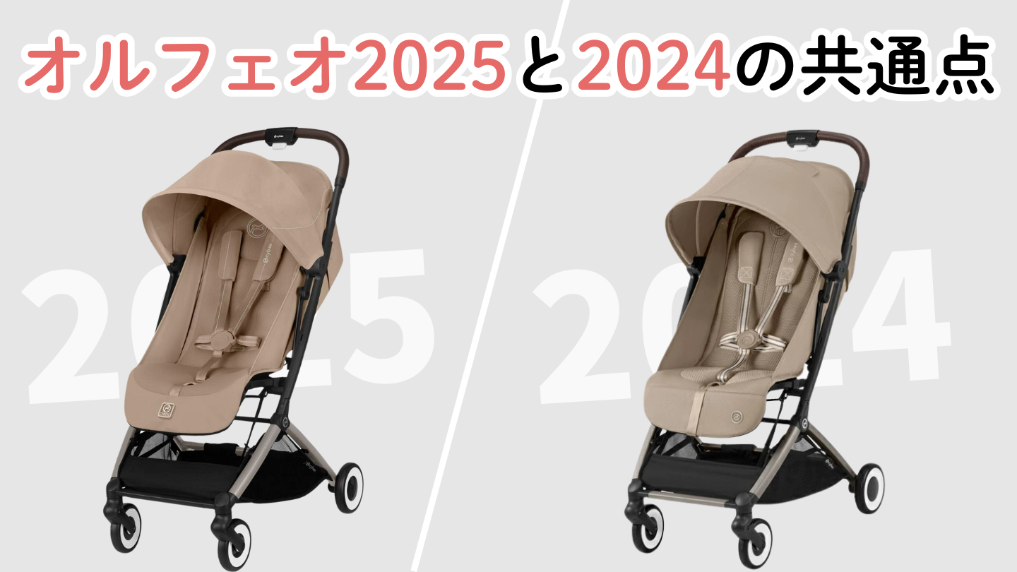 サイベックスオルフェオ2025と2024の共通点