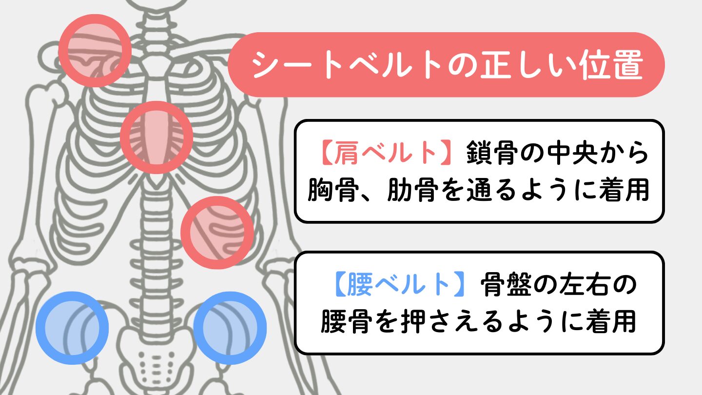 シートベルトの正しい位置