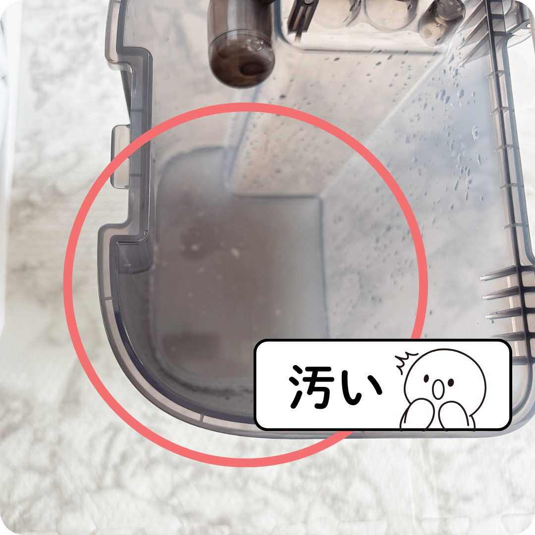 汚水タンクにたまった水