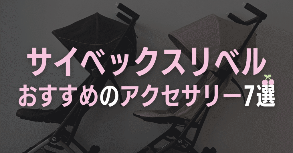 サイベックスリベルにおすすめのアクセサリー