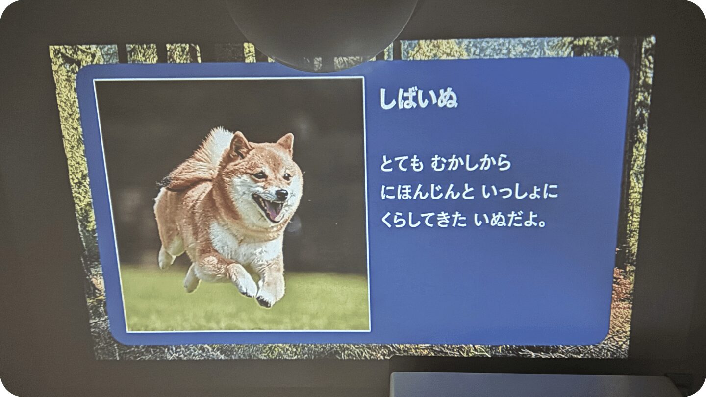 Astrumプロジェクターは天井にも投影できる